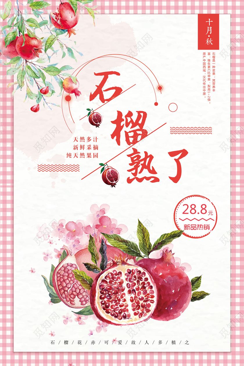 格子背景石榴熟了手绘风水果石榴海报