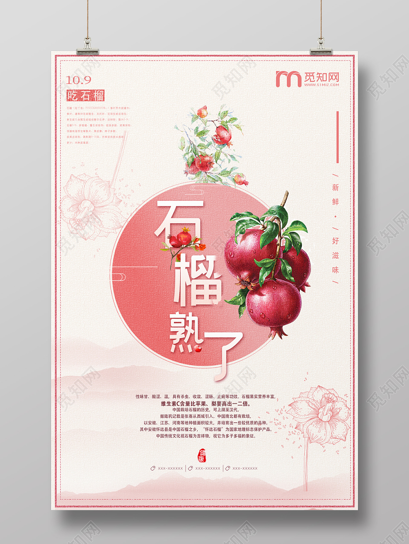 粉色浪漫水果石榴石榴熟了海报