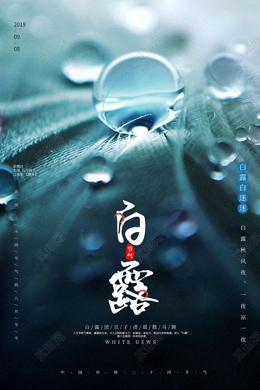 小清新中国二十四节气节日白露宣传海报