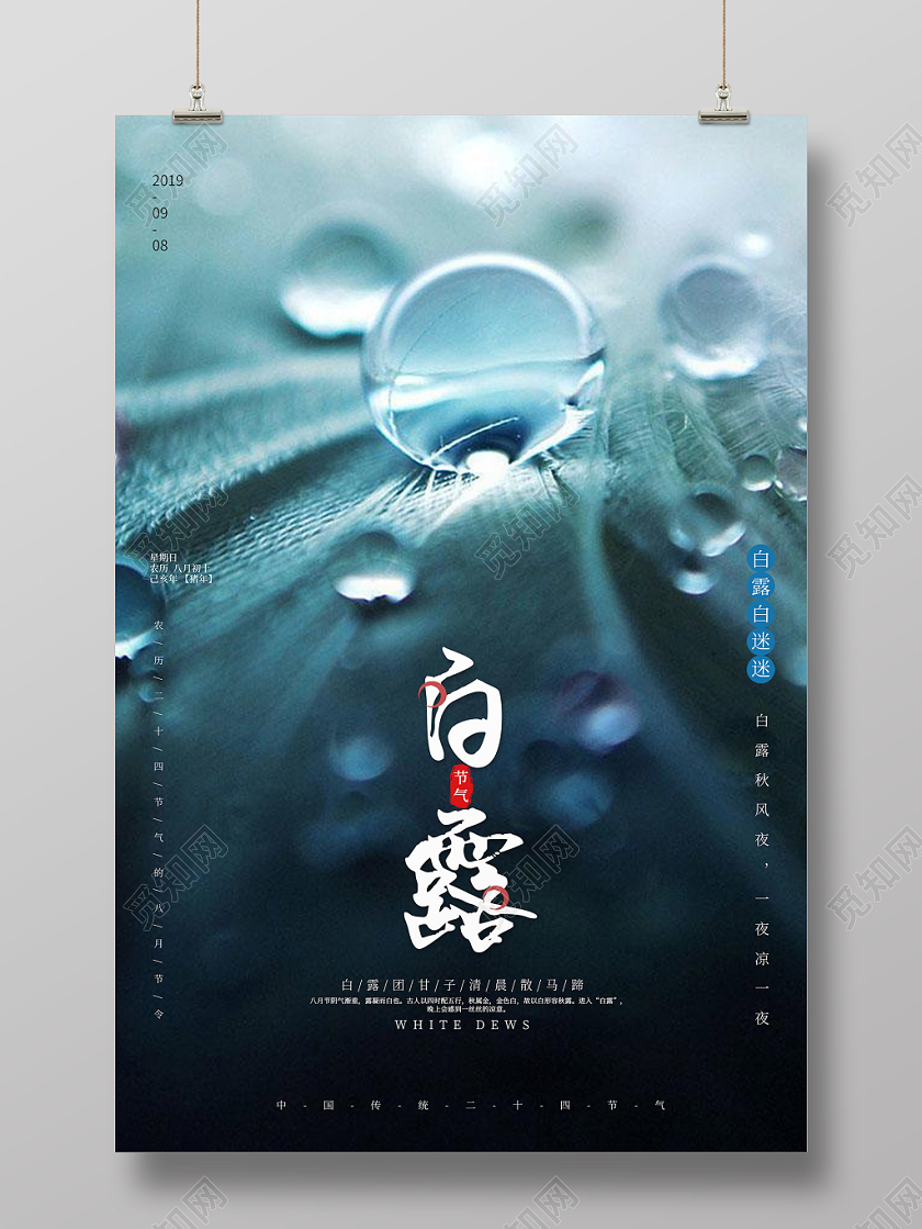 小清新中国二十四节气节日白露宣传海报
