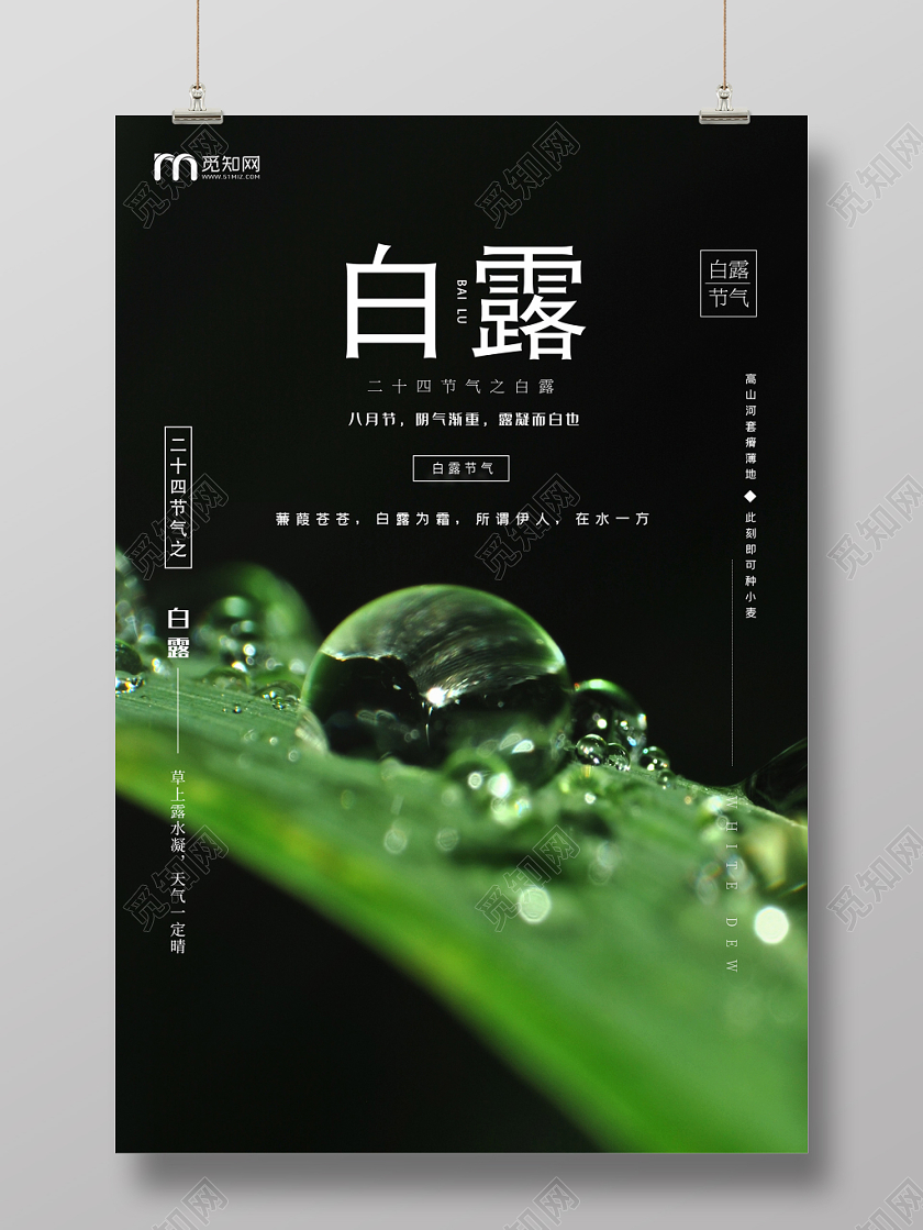 简约风中国二十四节气节日白露宣传海报