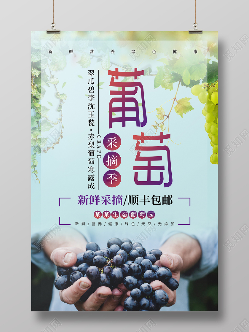 蓝色清新新鲜水果葡萄果园宣传海报