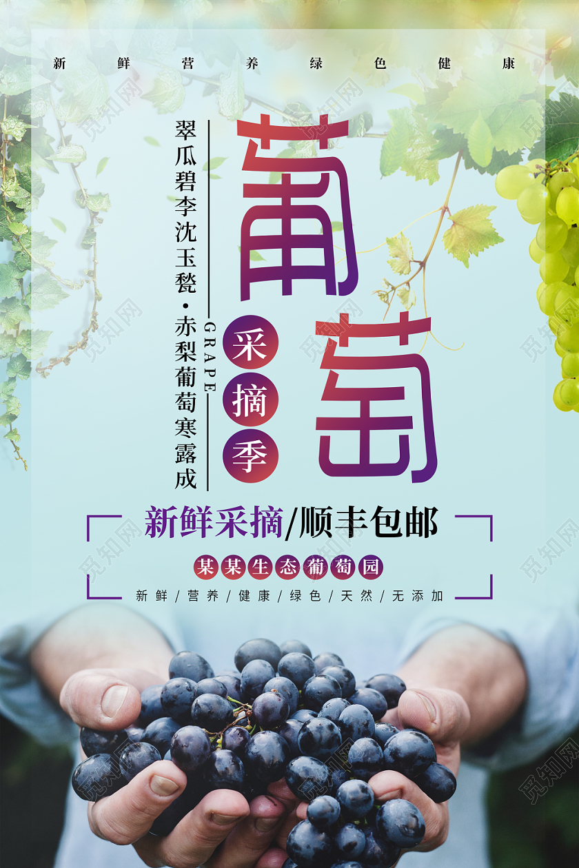 蓝色清新新鲜水果葡萄果园宣传海报