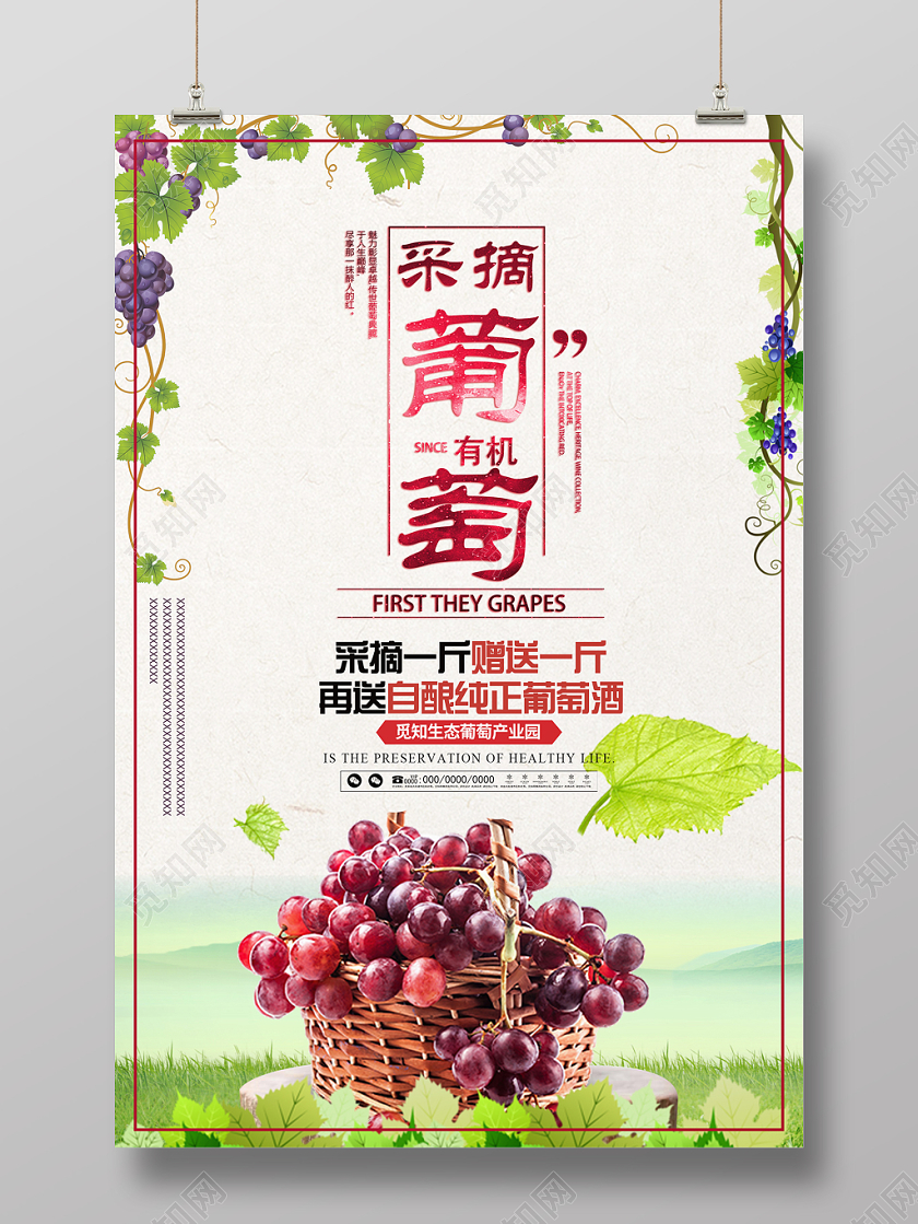 采摘葡萄绿色风景清新简约风水果葡萄海报