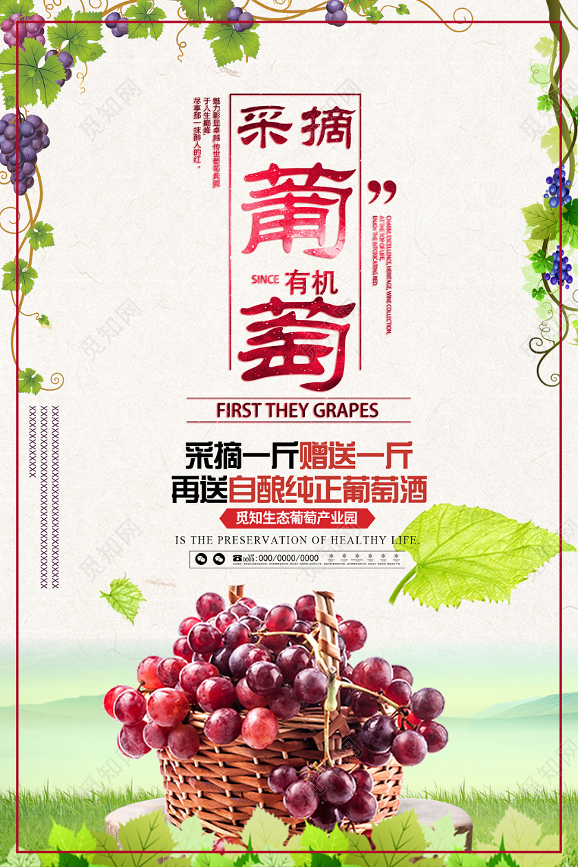 采摘葡萄绿色风景清新简约风水果葡萄海报