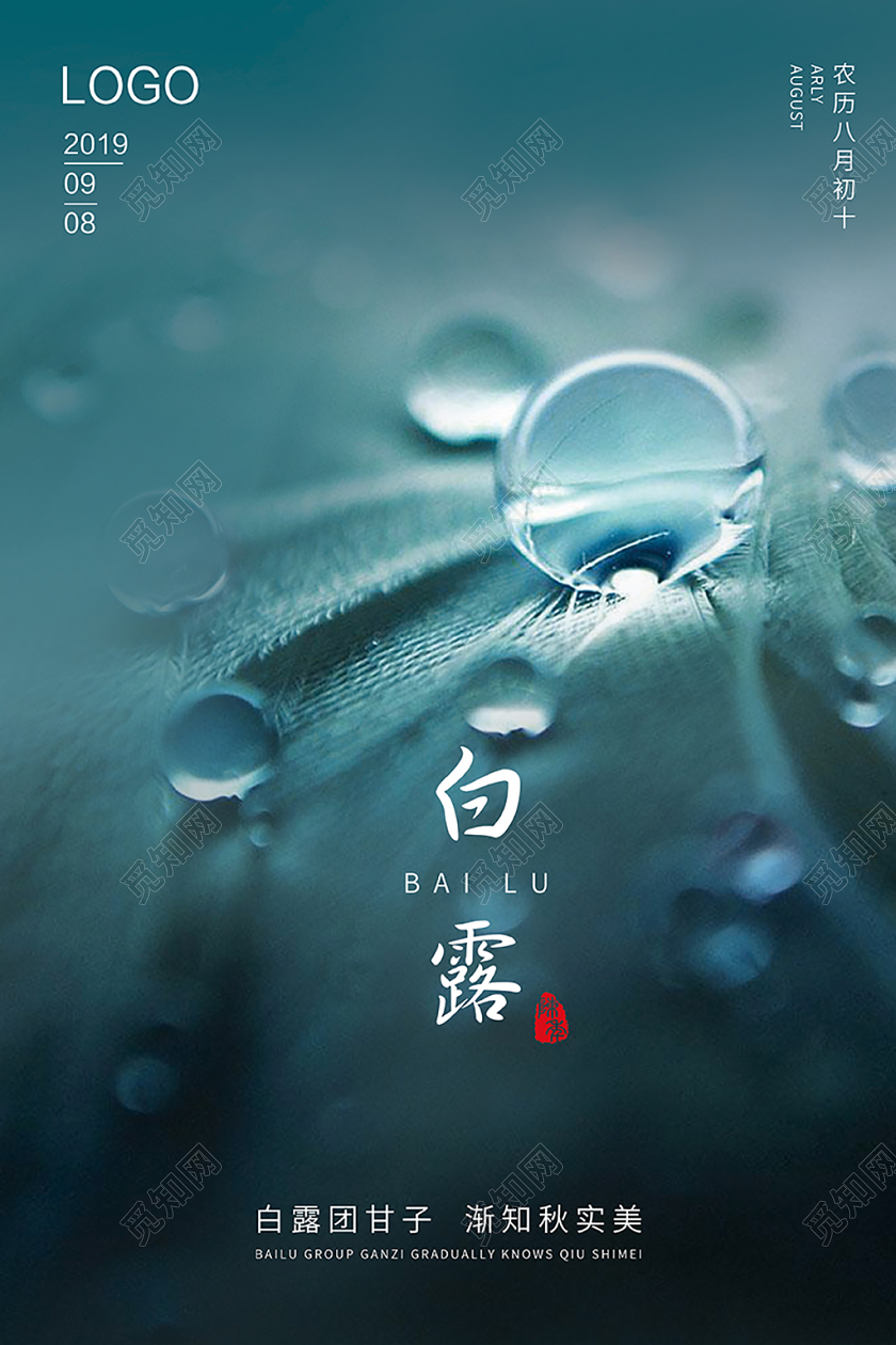 白露二十四节气创意简约海报