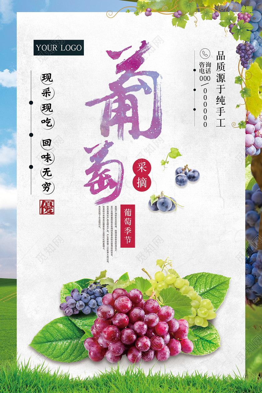 纯天然新鲜葡萄水果宣传海报