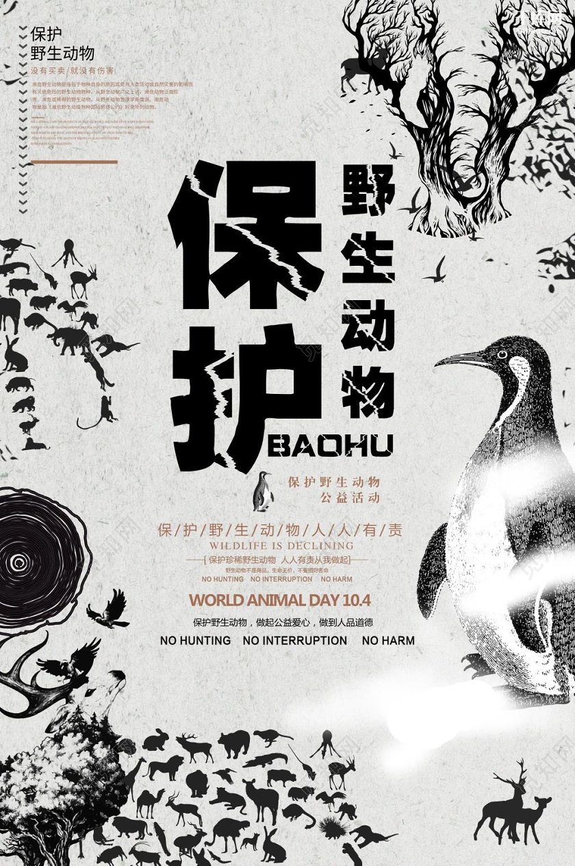 黑白保护濒临野生动物宣传海报