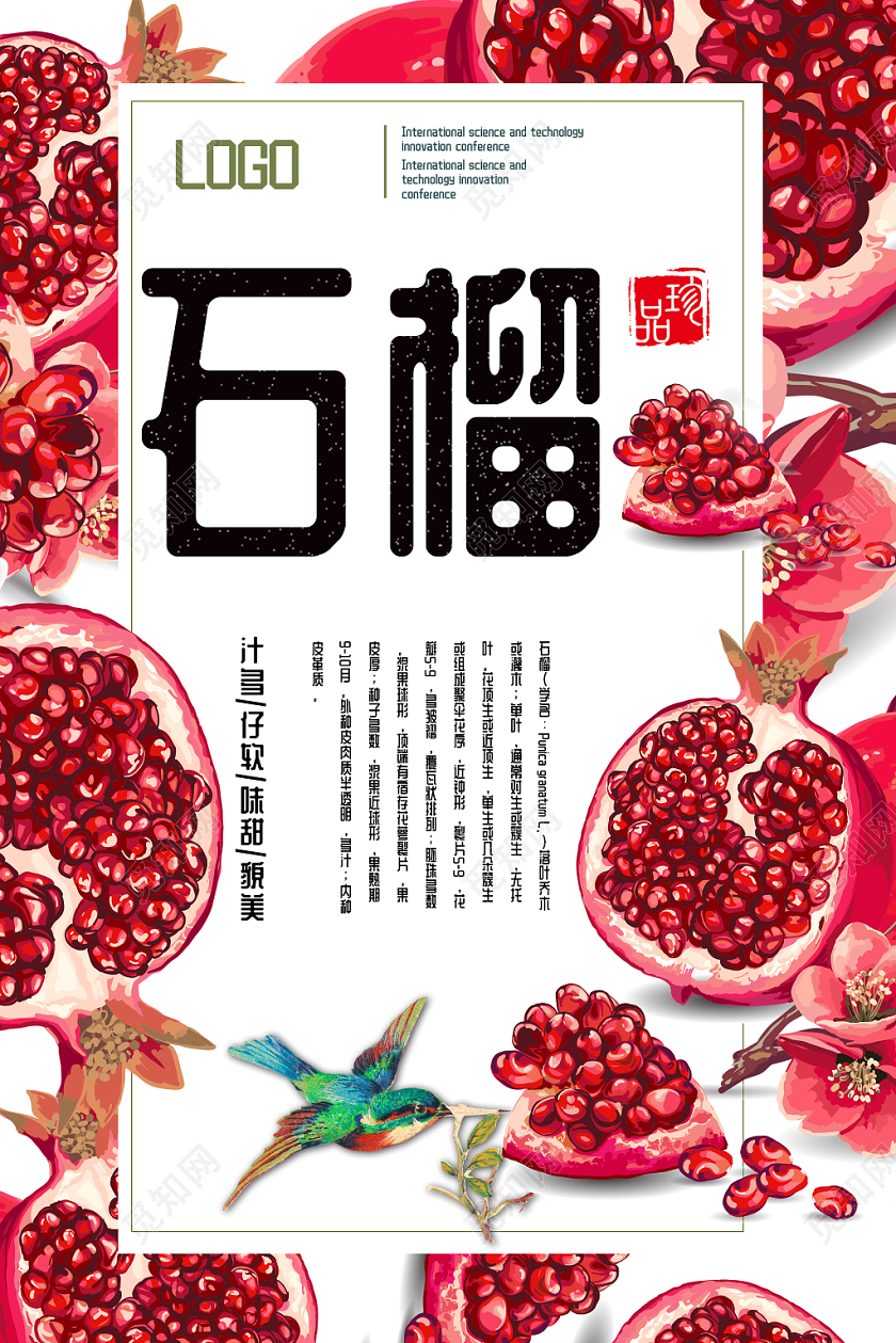 红色手绘石榴珍品水果美食宣传海报
