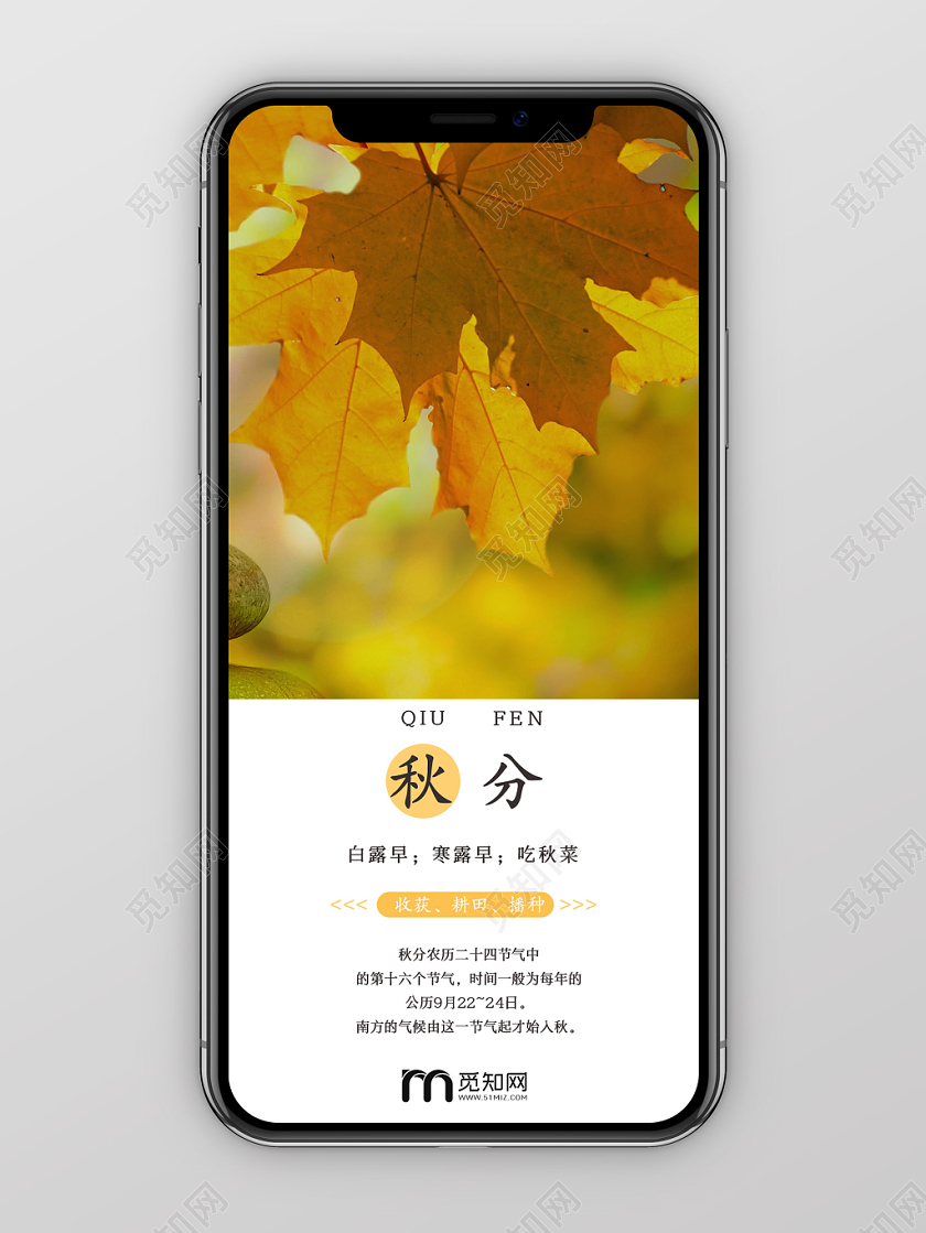 简约原创二十四节气之秋分手机海报