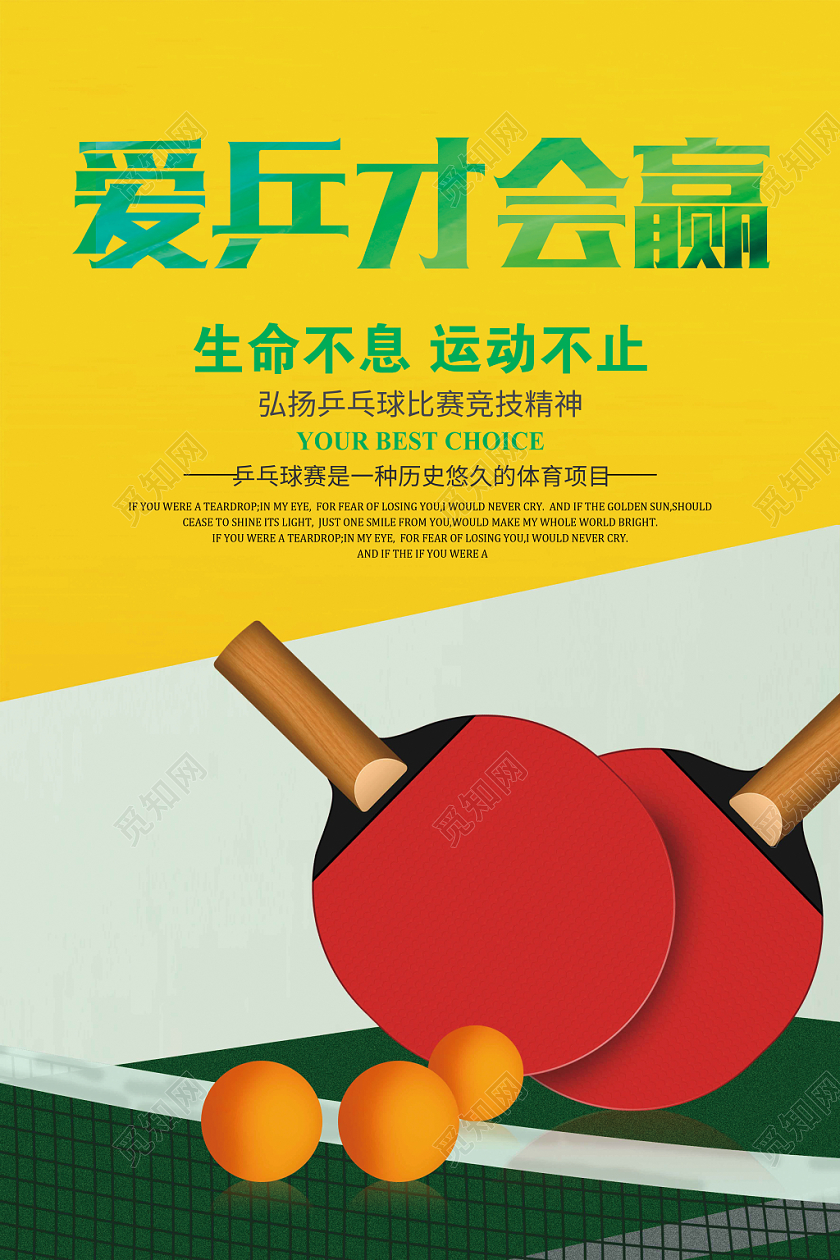 简约体育运动乒乓球爱拼才会赢体育海报