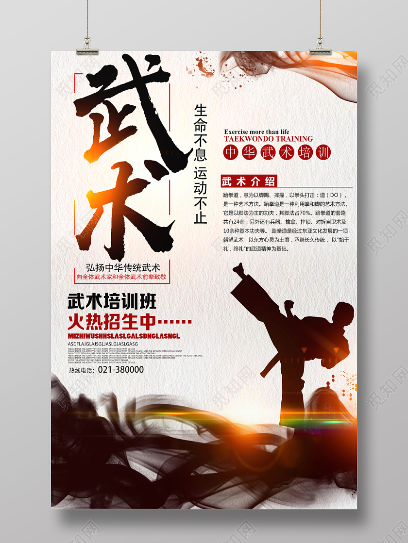 浅灰传统简约风武术培训招生武术海报