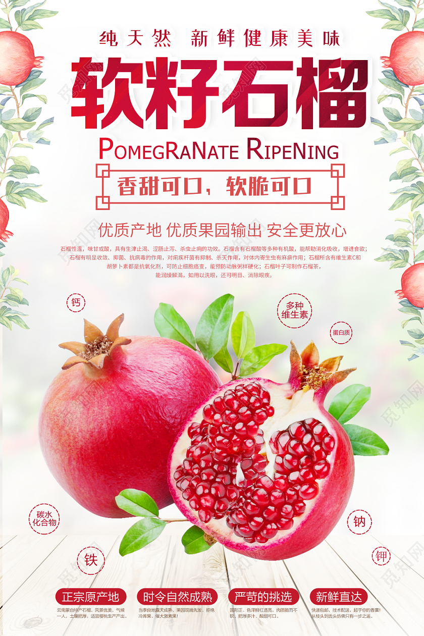 红色简约水果石榴软籽石榴上市宣传海报