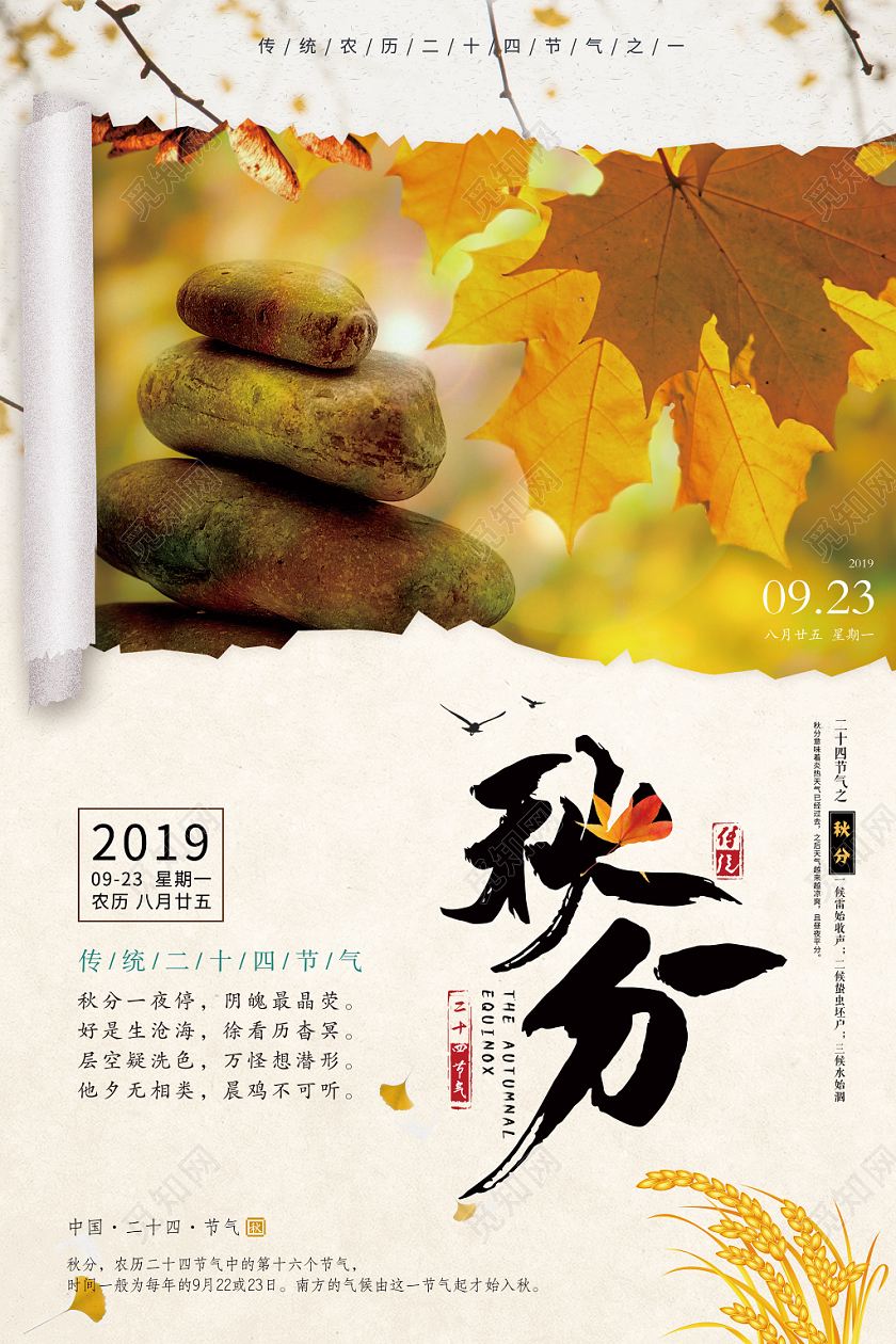 简约创意撕纸效果传统二十四节气秋分宣传海报
