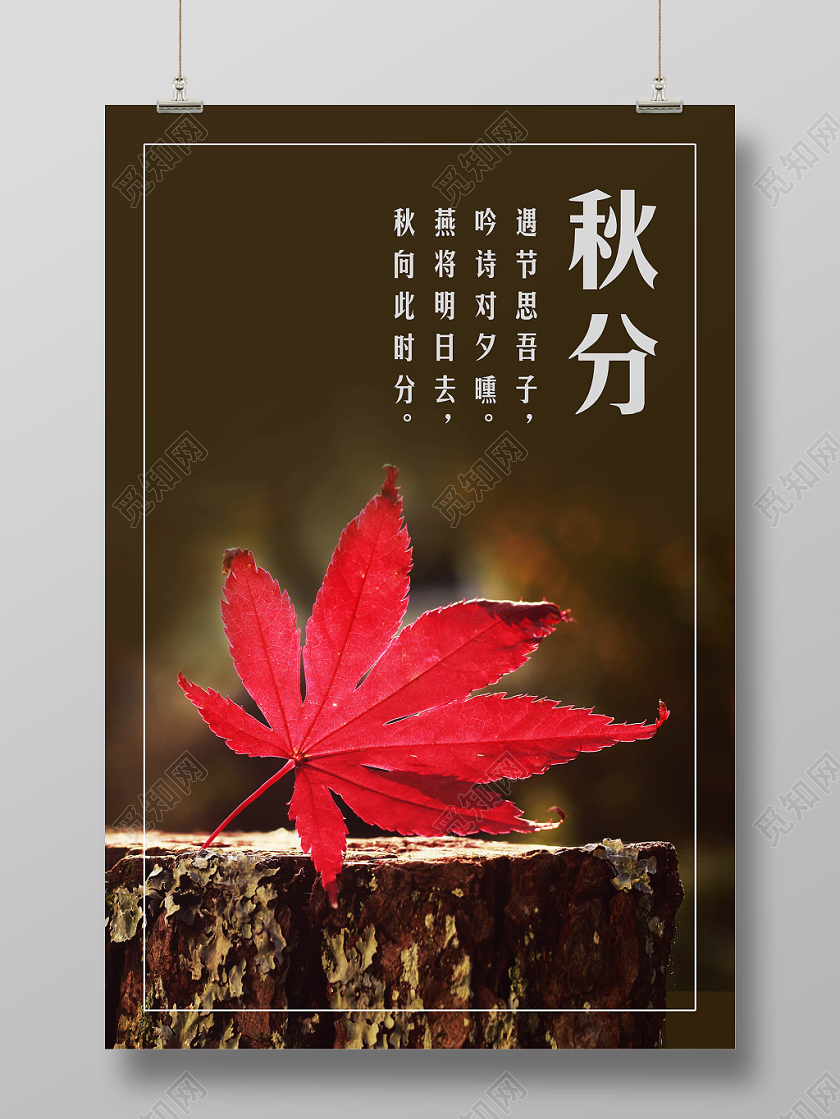 红色枫叶简约落叶中国二十四节气秋分海报