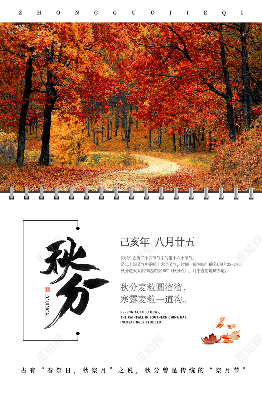 中国风传统文化二十四节气秋分秋天式宣传海报