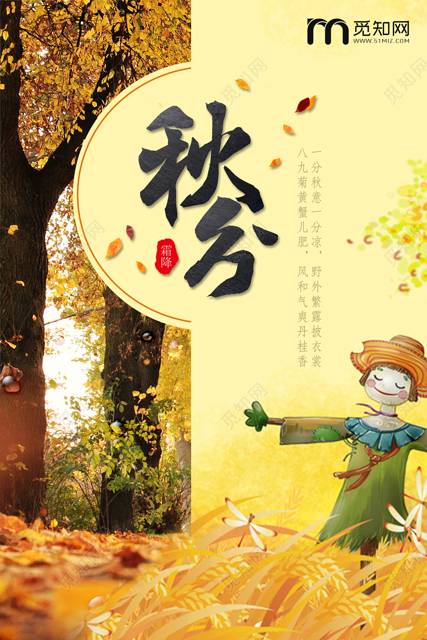 实景与插画交映的中国传统二十四节气秋分秋天金秋海报
