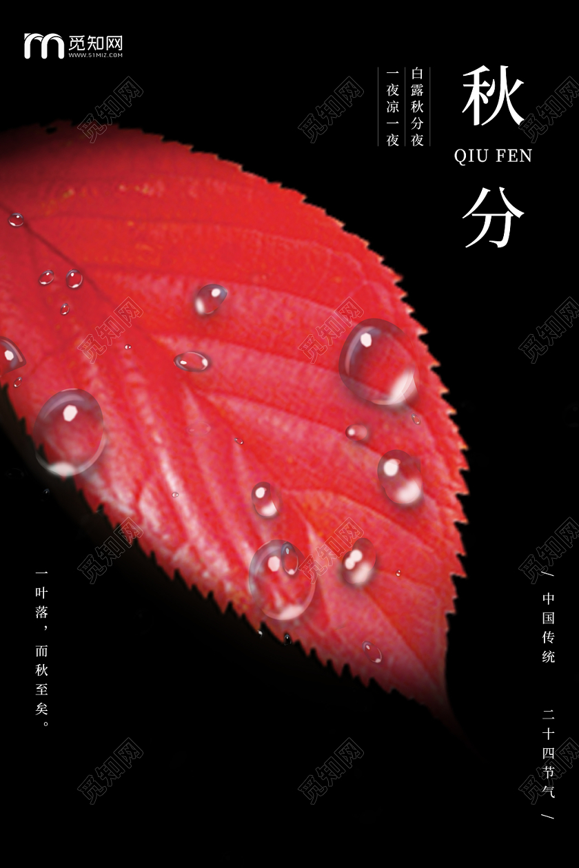 水滴红枫叶叶子秋分秋天金秋九月你好