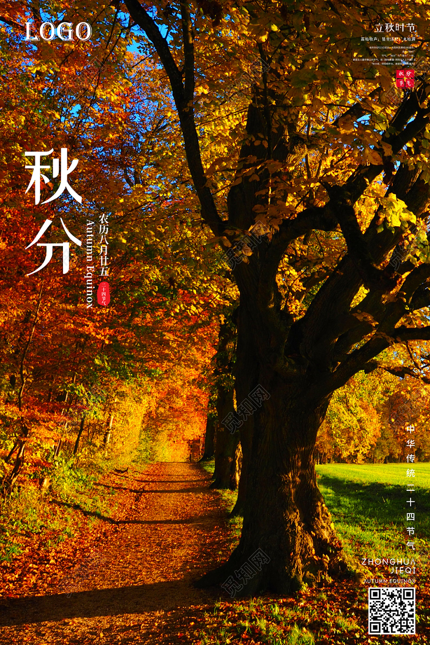 创意简约中华民族传统十二节气之秋分公益宣传秋天秋季枫叶海报