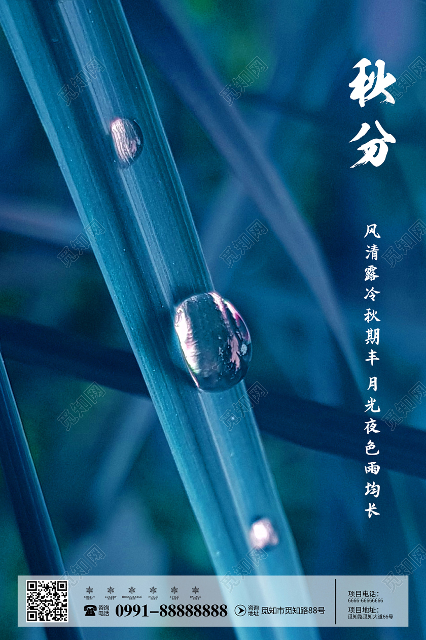 创意简约传统十二节气之秋分宣传秋天秋季海报