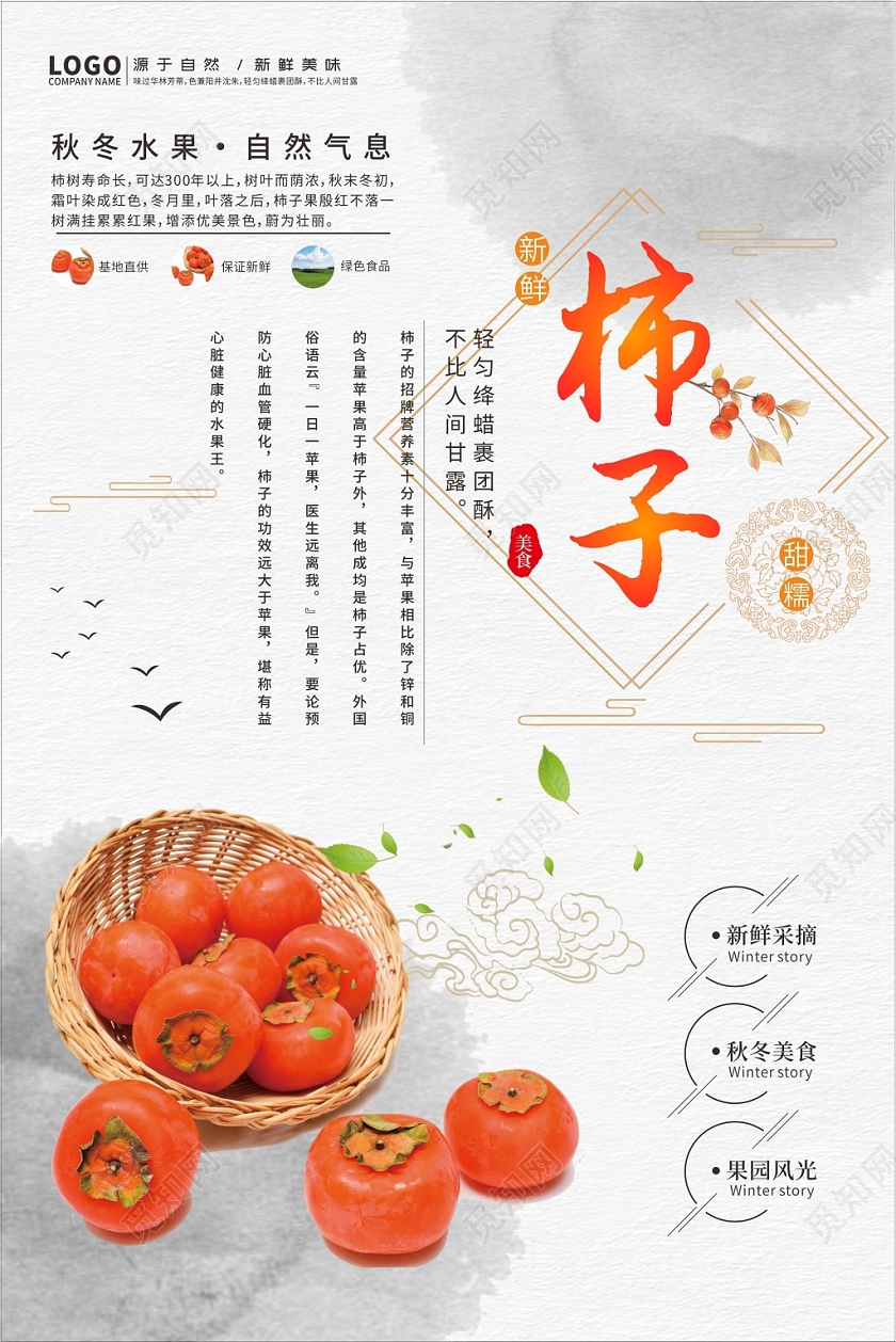 清新水墨中国风秋冬水果柿子海报