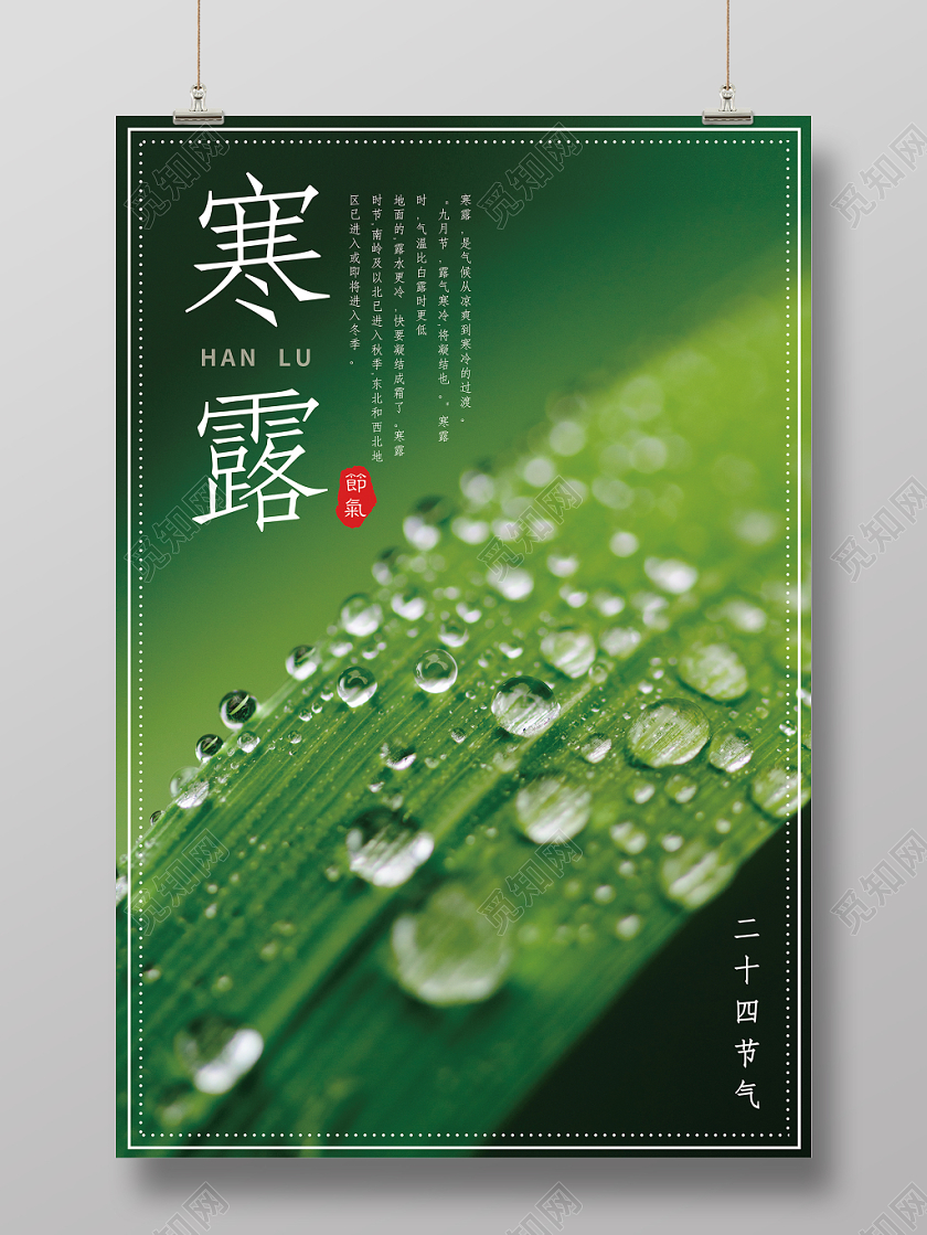 中国传统二十四节气寒露简约唯美绿色露水海报