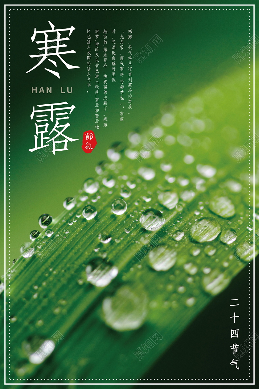 中国传统二十四节气寒露简约唯美绿色露水海报
