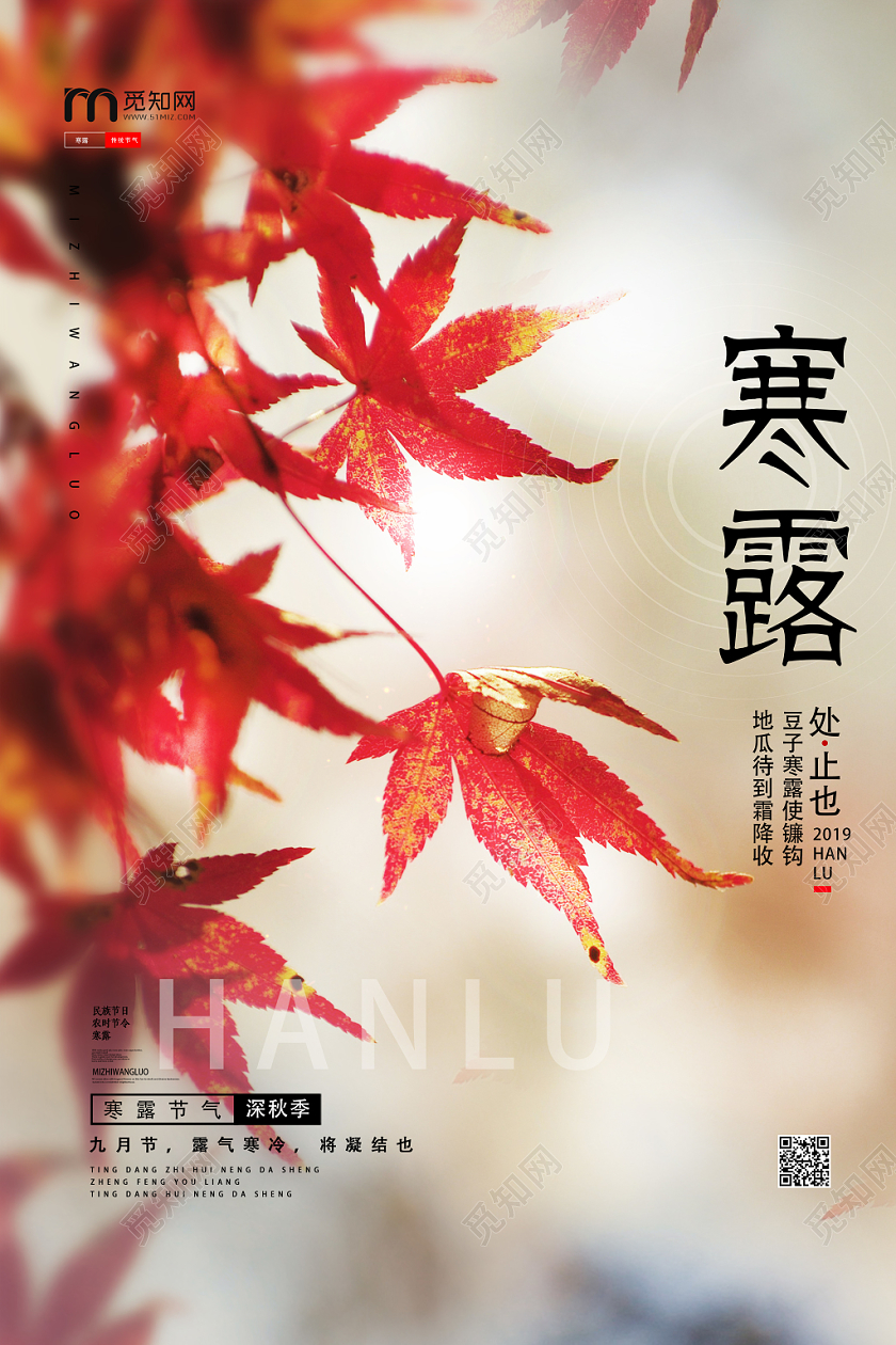 黄色唯美寒露二十四节气寒露海报