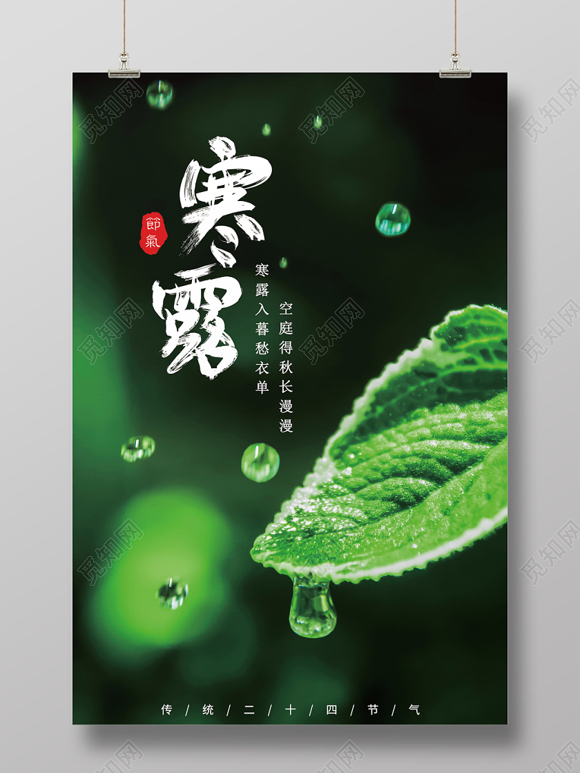寒露传统节气二十四节气中国文化简约露珠深色海报