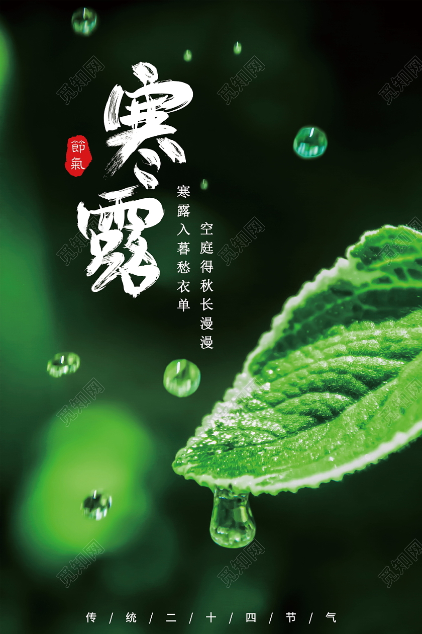 寒露传统节气二十四节气中国文化简约露珠深色海报