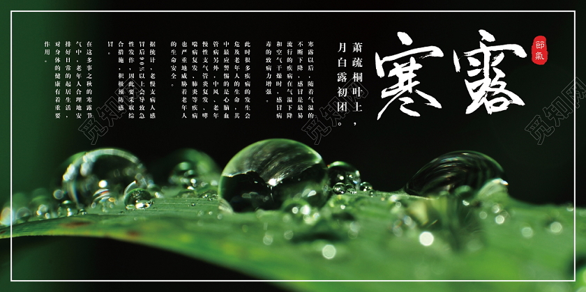 中国传统二十四节气寒露传统文化节气露水展板