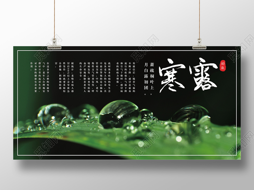 中国传统二十四节气寒露传统文化节气露水展板