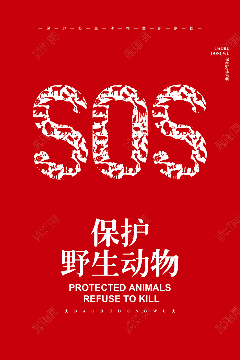 创意简约世界动物日保护野生动物公益宣传海报设计