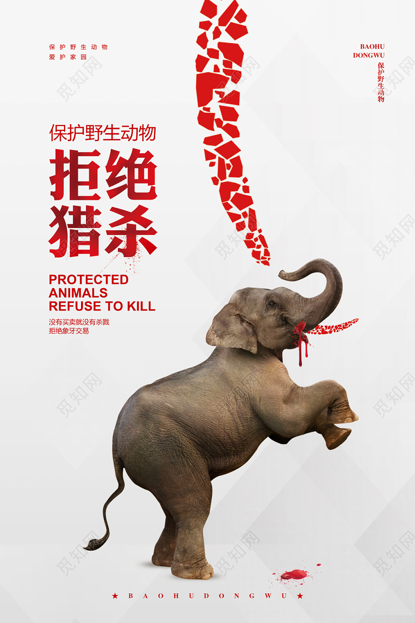 创意简约世界动物日保护动物拒绝猎杀公益宣传海报设计