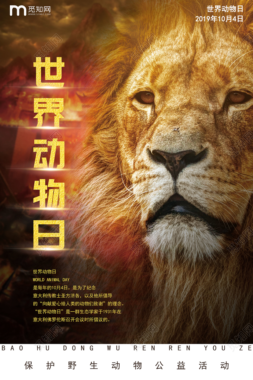 黄色世界动物日保护动物公益行动宣传海报