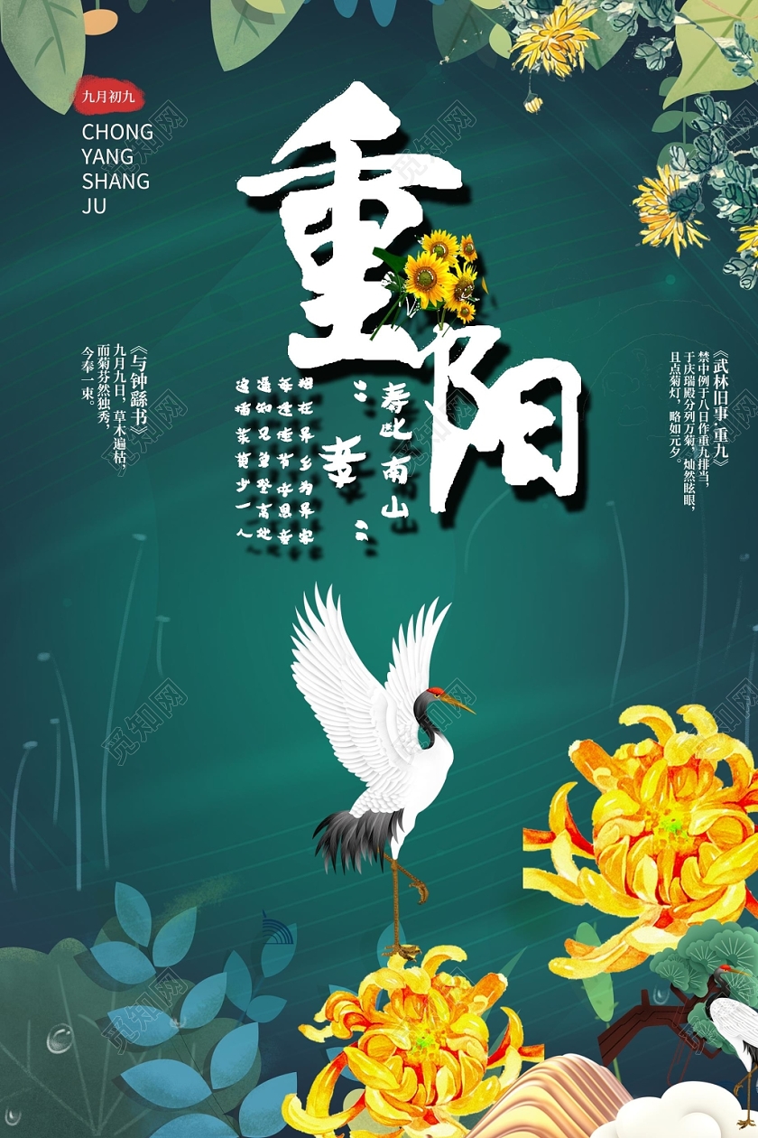 墨绿色背景重阳节赏菊海报