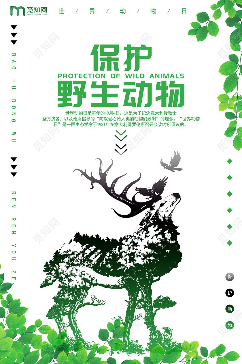 白绿色简约世界动物日保护动物公益宣传海报