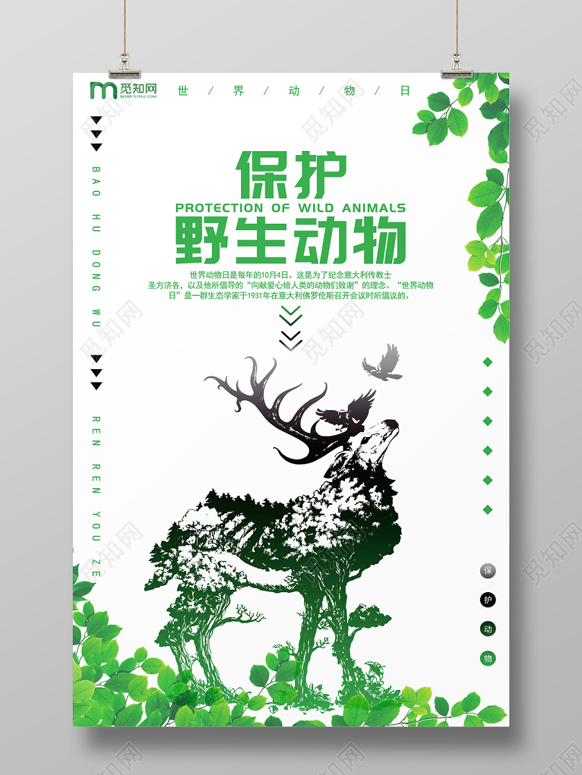 白绿色简约世界动物日保护动物公益宣传海报
