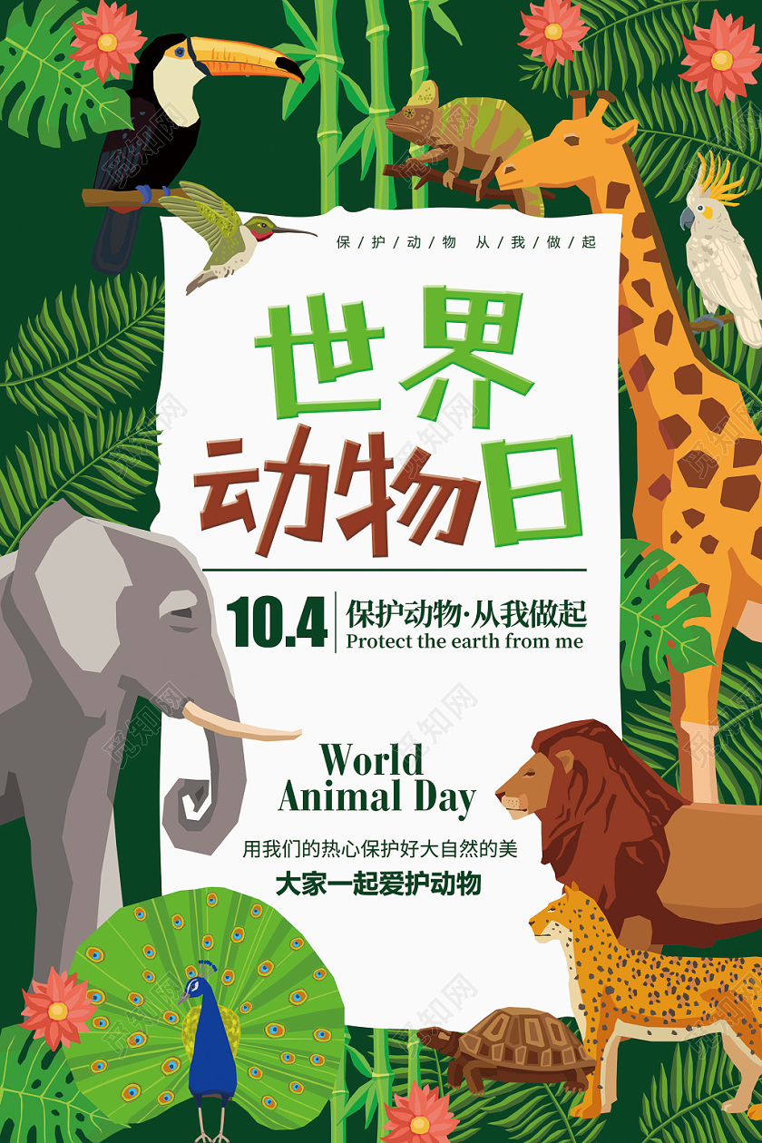 世界动物日保护动物公益海报
