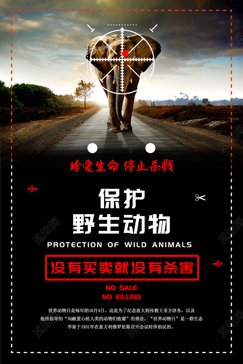 黑红色世界动物日保护动物公益宣传海报