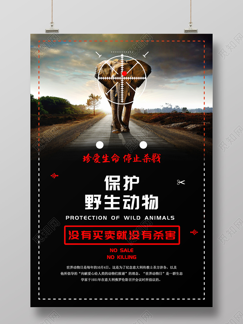 黑红色世界动物日保护动物公益宣传海报