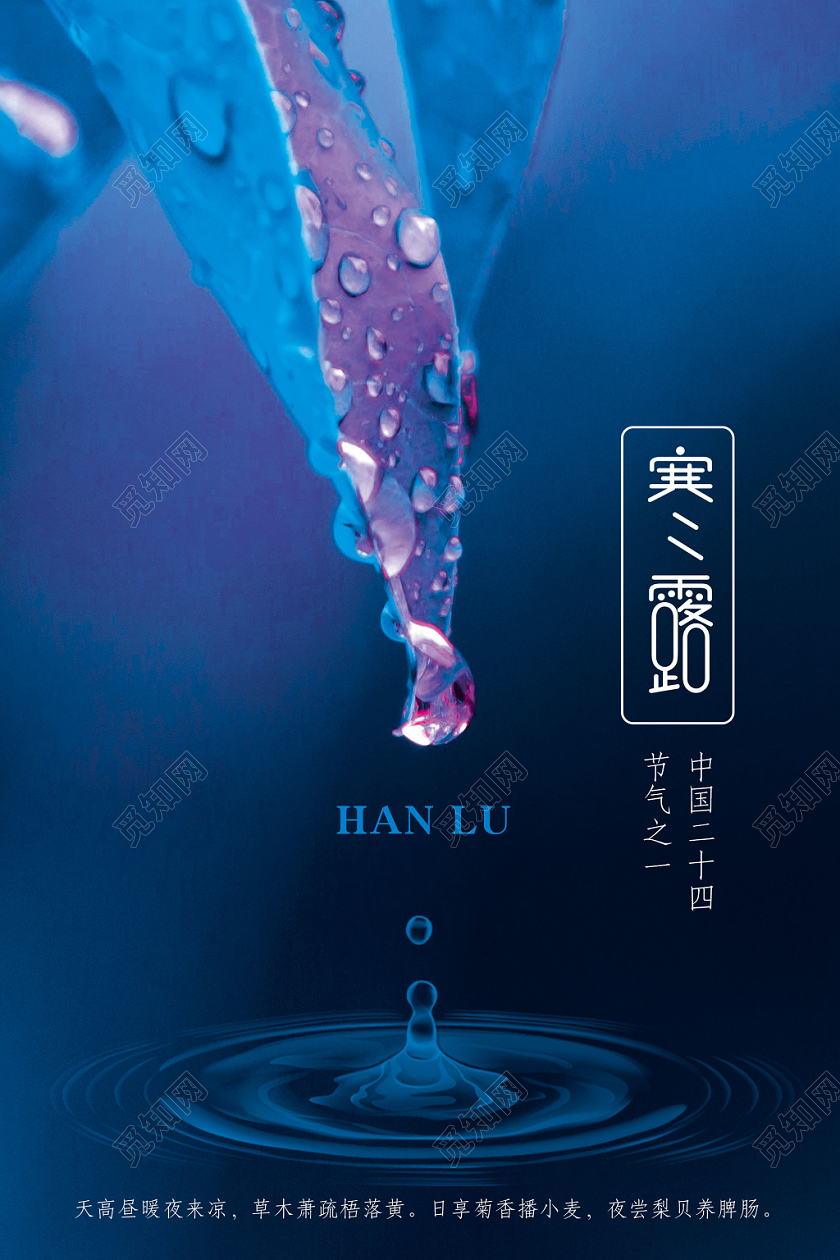 创意叶滴寒露节气宣传展板