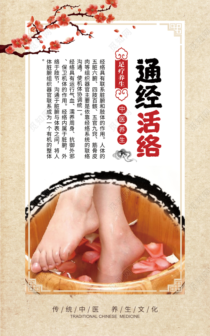 足浴养生古风纸质梅花泡脚双脚足疗足浴套图