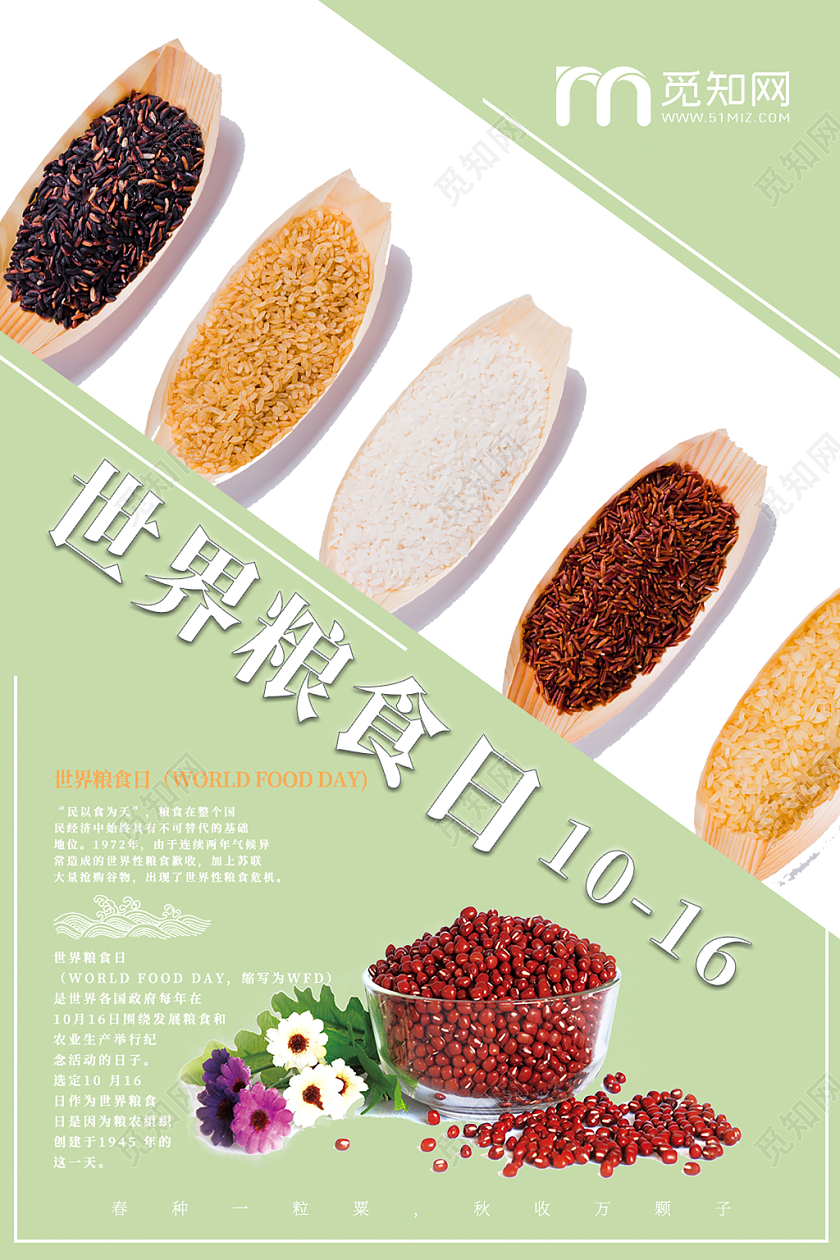 简约五谷杂粮世界粮食日海报设计