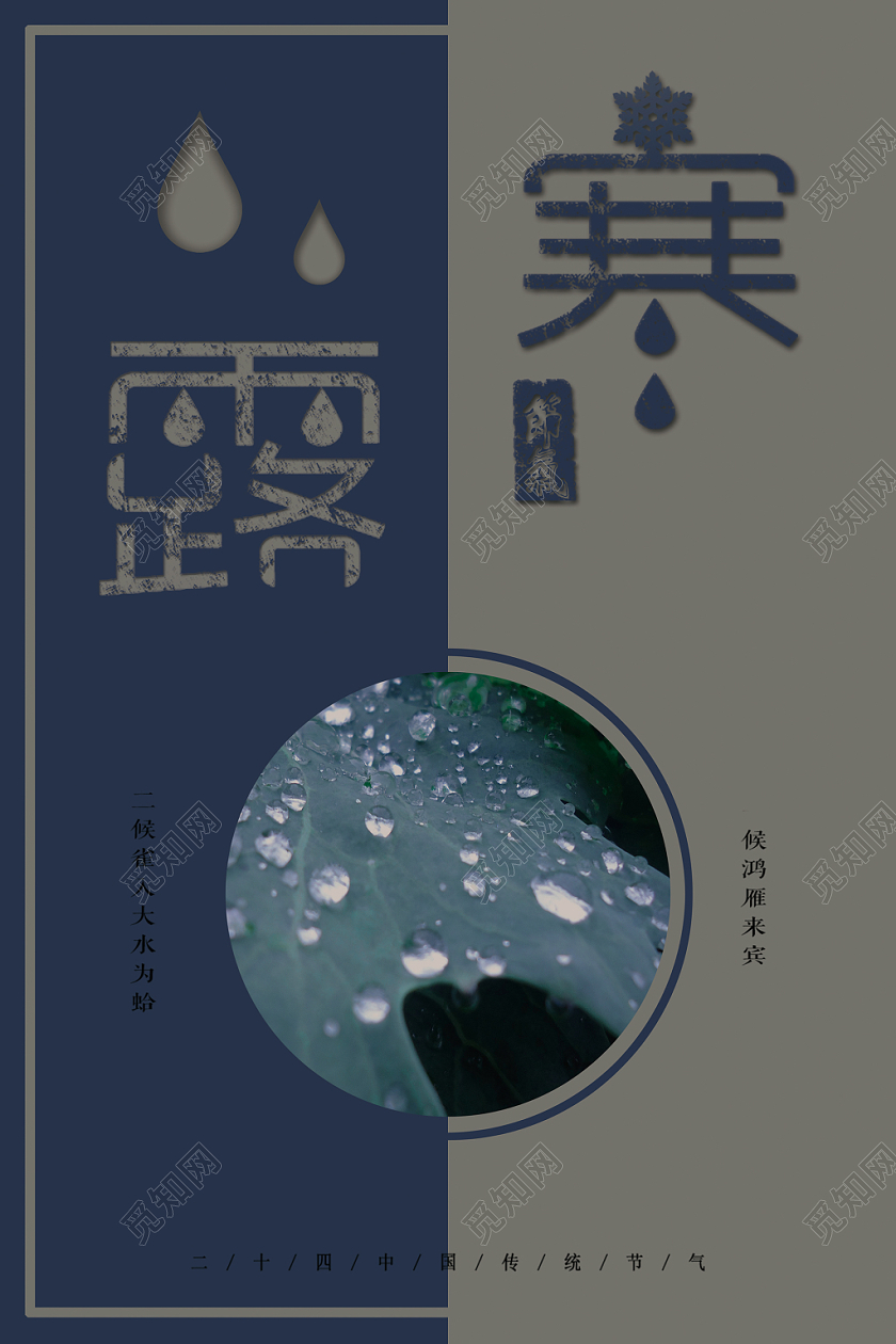 古风对比大气创意简洁寒露传统二十四节气宣传促销海报