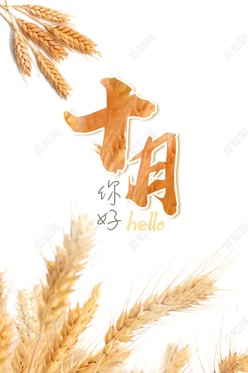 金黄色麦穗风格你好十月秋天宣传海报