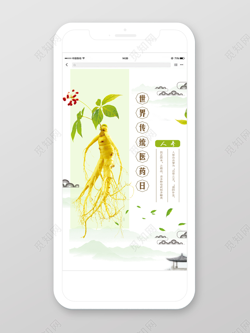 清新世界传统医药日人参手机海报图