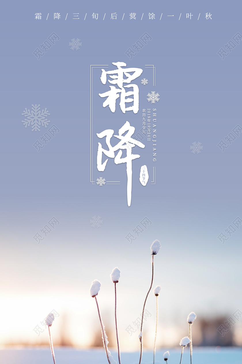 清新灰蓝色简约秋冬枯草二十四节气霜降海报