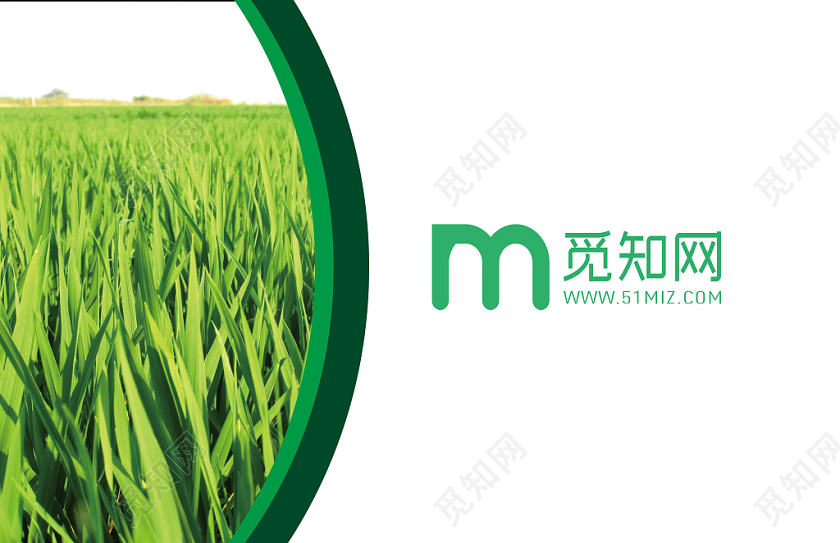 绿色简约玉米名片