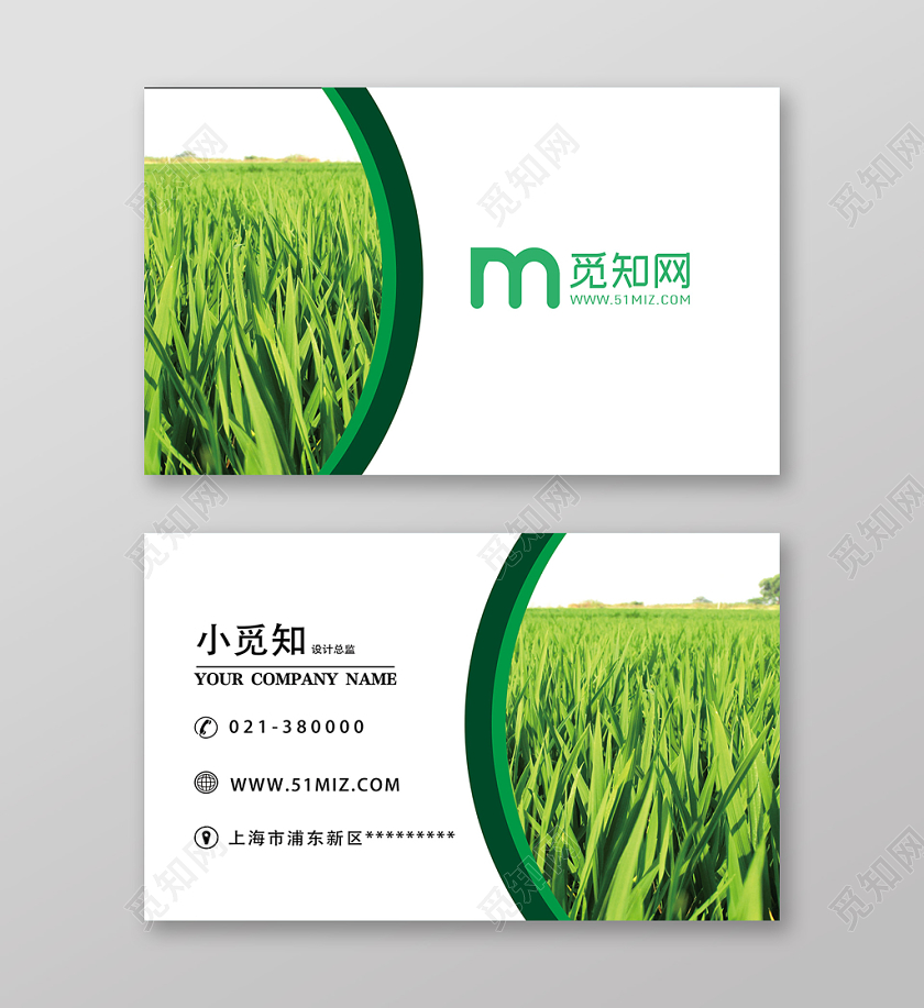 绿色简约玉米名片